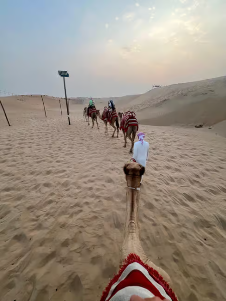 Dubai: Desert Safari, Quad Bike, Sandboarding, Camels & BBQ | ®ExcursionMania