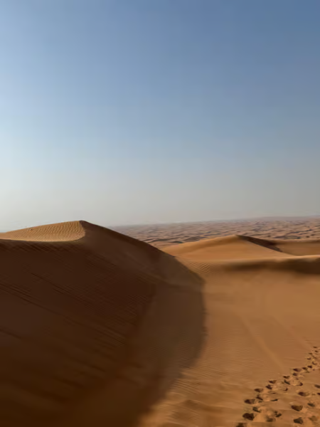 Dubai: Desert Safari, Quad Bike, Sandboarding, Camels & BBQ | ®ExcursionMania