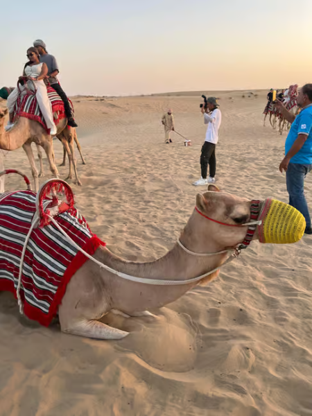 Dubai: Desert Safari, Quad Bike, Sandboarding, Camels & BBQ | ®ExcursionMania