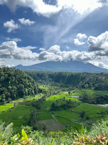 Bali: Full-Day Instagram Highlights Tour | ®ExcursionMania