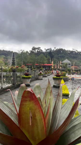 Bali: Full-Day Instagram Highlights Tour | ®ExcursionMania