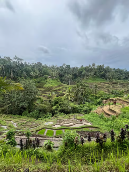 Bali: Full-Day Instagram Highlights Tour | ®ExcursionMania