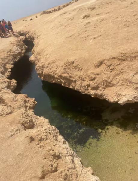 Sharm El-Sheikh : Ras Mohamed Half Day Tour & Allah's gate | ®ExcursionMania