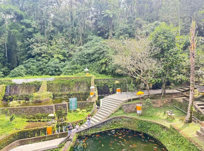 Bali: Full-Day Spiritual Cleansing and Shamanic Healing Tour | ®ExcursionMania