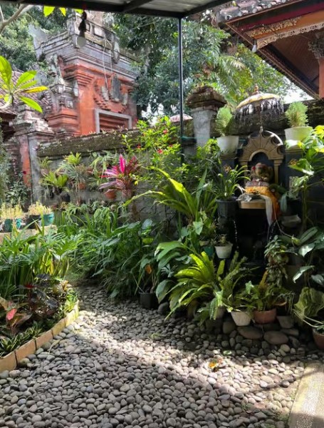 Bali: Full-Day Spiritual Cleansing and Shamanic Healing Tour | ®ExcursionMania