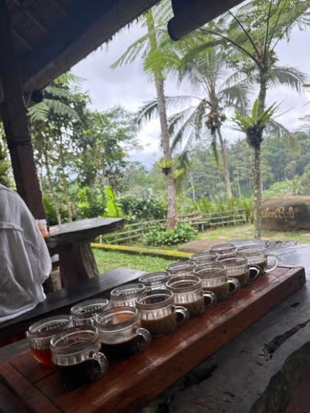 Bali: Full-Day Spiritual Cleansing and Shamanic Healing Tour | ®ExcursionMania