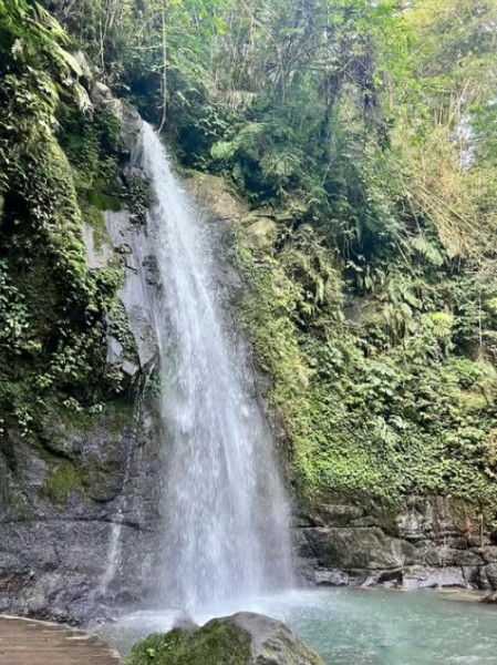 Ubud: All-Inclusive Tour with Optional Lunch | ®ExcursionMania
