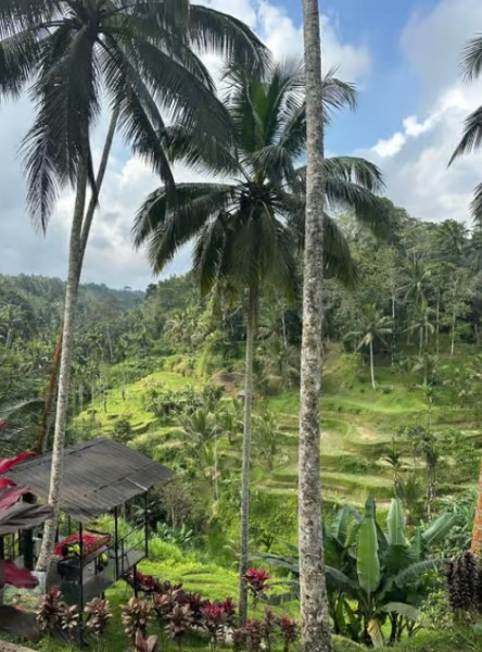 Ubud: All-Inclusive Tour with Optional Lunch | ®ExcursionMania