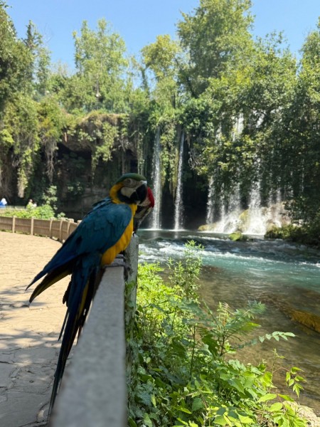 Antalya City Tour: Cable Car, Boat Ride, Waterfall w/Lunch | ®ExcursionMania