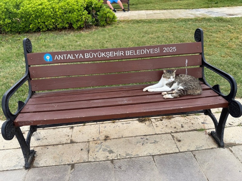 Antalya City Tour: Cable Car, Boat Ride, Waterfall w/Lunch | ®ExcursionMania