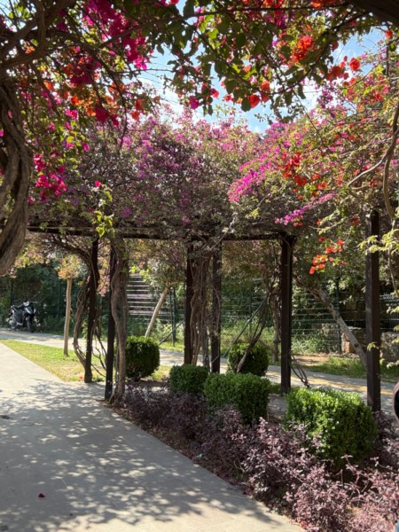 Antalya City Tour: Cable Car, Boat Ride, Waterfall w/Lunch | ®ExcursionMania
