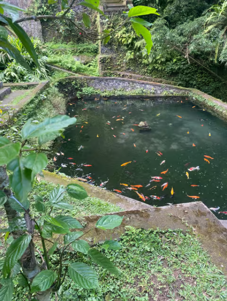 Tirta Empul: Temple Tour with Optional Spiritual Cleansing | ®ExcursionMania