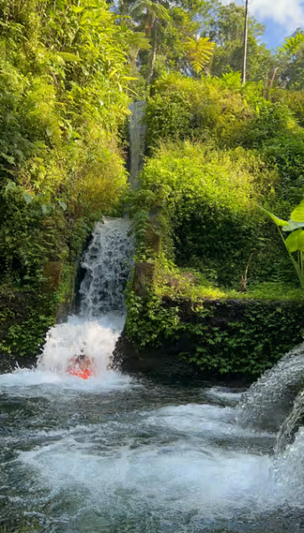 Tirta Empul: Temple Tour with Optional Spiritual Cleansing | ®ExcursionMania