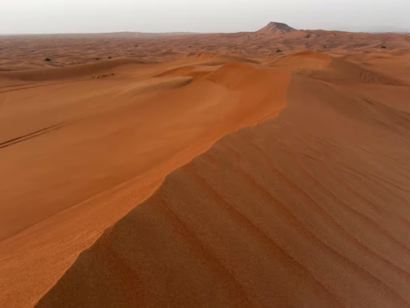Dubai: Half-Day Desert Safari, Camel Ride & Quad Bike Option | ®ExcursionMania