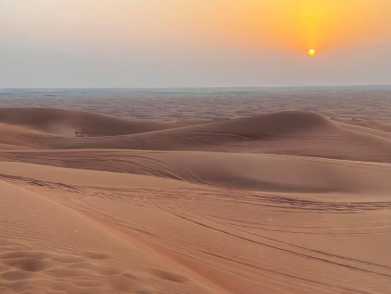 Dubai: Half-Day Desert Safari, Camel Ride & Quad Bike Option | ®ExcursionMania