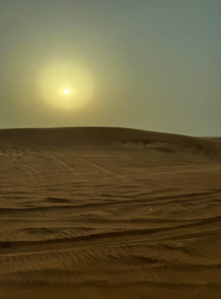 Dubai: Half-Day Desert Safari, Camel Ride & Quad Bike Option | ®ExcursionMania
