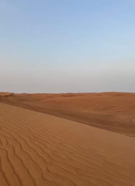 Dubai: Half-Day Desert Safari, Camel Ride & Quad Bike Option | ®ExcursionMania