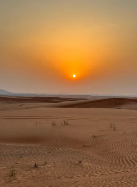 Dubai: Half-Day Desert Safari, Camel Ride & Quad Bike Option | ®ExcursionMania