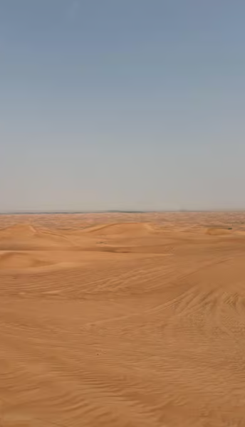 Dubai: Half-Day Desert Safari, Camel Ride & Quad Bike Option | ®ExcursionMania