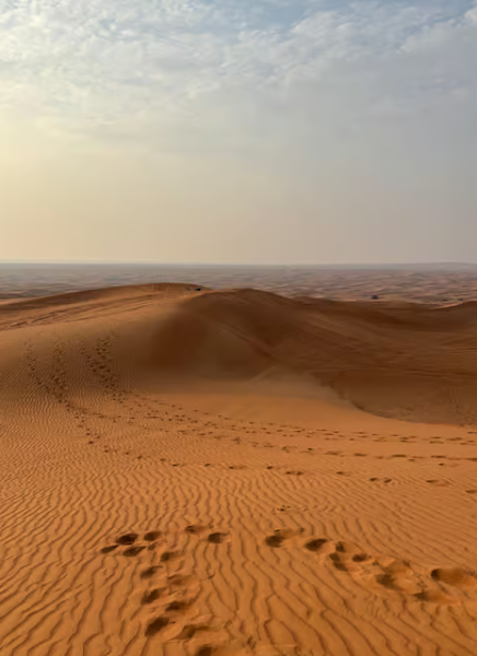 Dubai: Half-Day Desert Safari, Camel Ride & Quad Bike Option | ®ExcursionMania