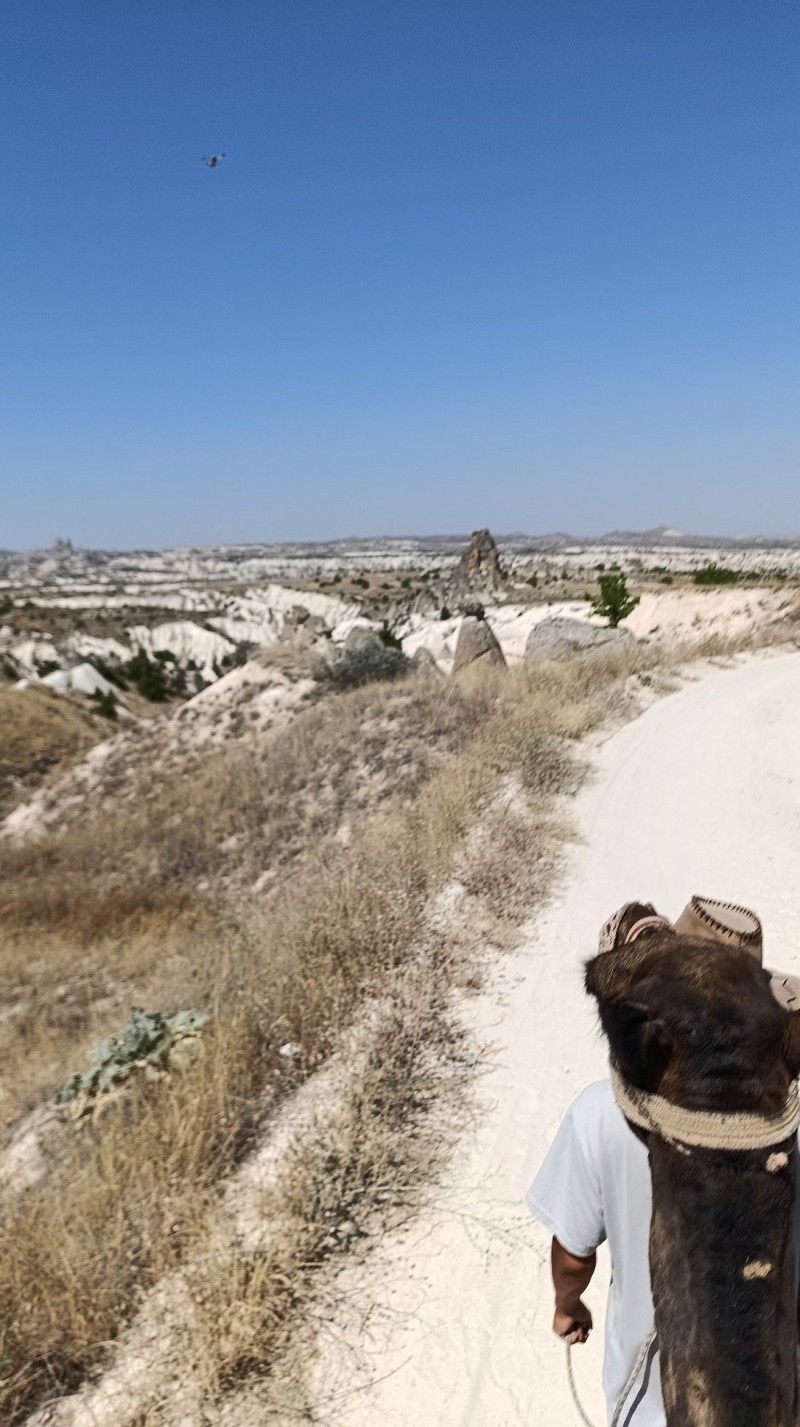 Cappadocia Camel Safari w/Sunrise or Sunset Option | ®ExcursionMania