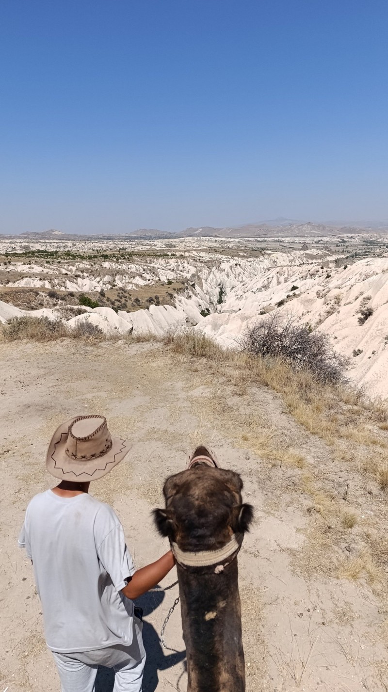 Cappadocia Camel Safari w/Sunrise or Sunset Option | ®ExcursionMania