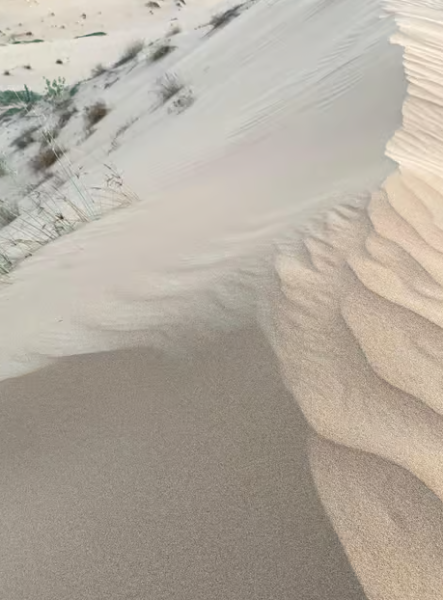 Dubai: Al Khayma Camp Experience with BBQ Dinner | ®ExcursionMania