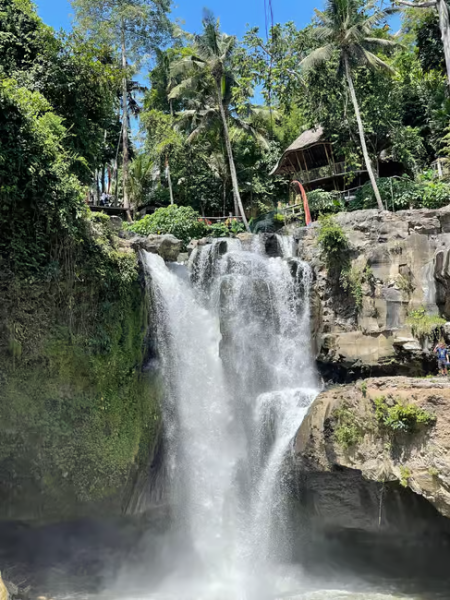Bali: Customized Private Car Charter with Optional Guide | ®ExcursionMania