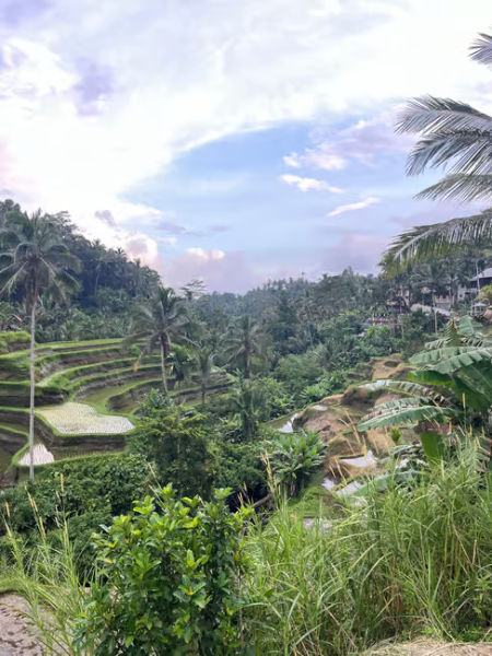 Bali: Customized Private Car Charter with Optional Guide | ®ExcursionMania