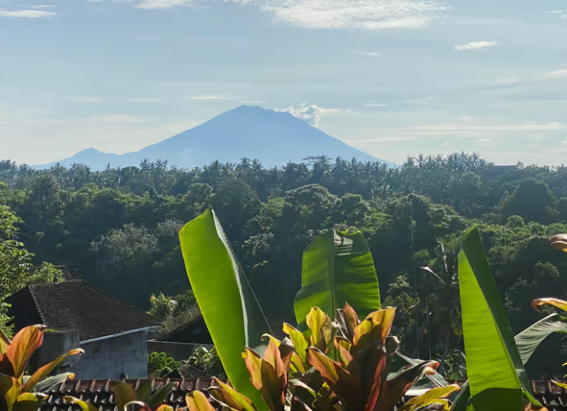 Bali: Full-Day Eat Pray Love Tour with Rice Terraces & Yoga | ®ExcursionMania