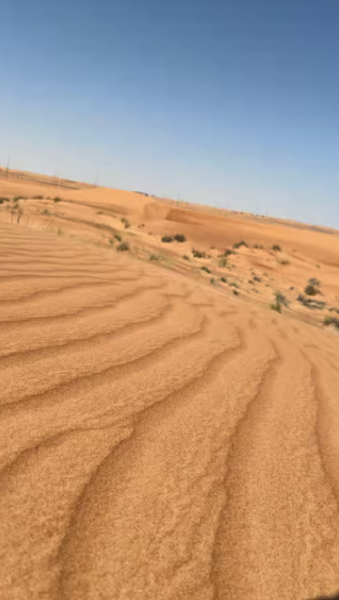 Dubai: Adventure Quad Bike Safari, Camel Ride & Refreshments | ®ExcursionMania