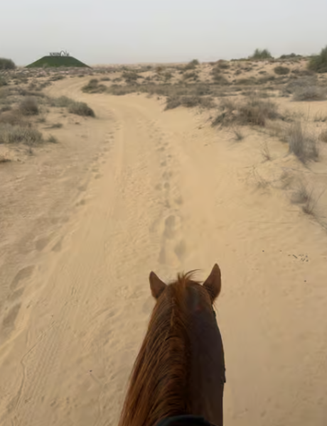 Dubai: Al Marmoom Oasis Horse Riding Experience with Snack | ®ExcursionMania