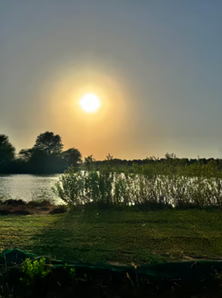 Dubai: Heritage Safari, Camel Ride & Al Marmoom Oasis Dinner | ®ExcursionMania