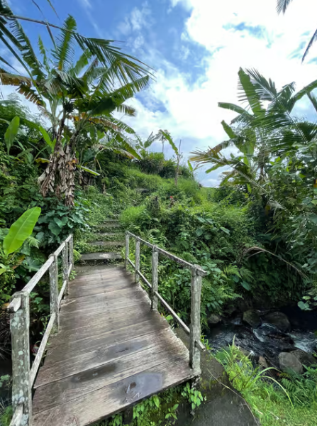 Ubud: Half-Day Semi-Customized Private-Tour with Live Guide | ®ExcursionMania