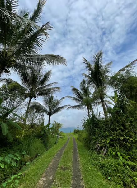 Ubud: Half-Day Semi-Customized Private-Tour with Live Guide | ®ExcursionMania