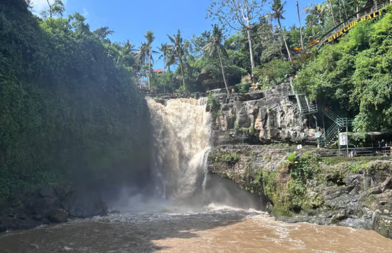 Ubud: Half-Day Semi-Customized Private-Tour with Live Guide | ®ExcursionMania