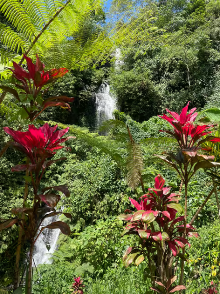 Bali: Munduk Waterfalls Trek Twin Lakes and Temple Tour | ®ExcursionMania