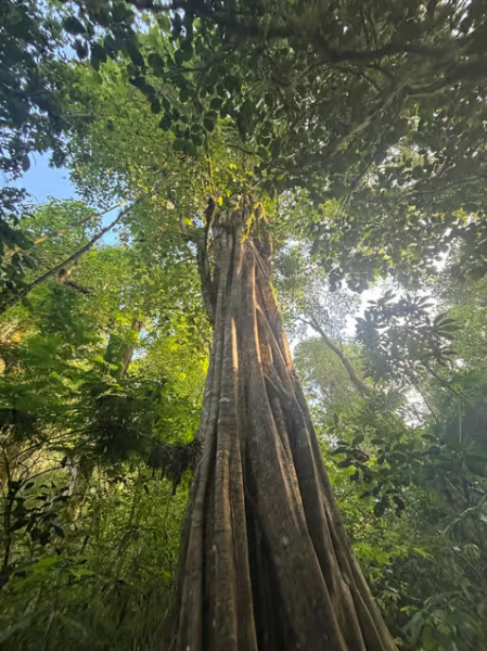 Bali: Munduk Waterfalls Trek Twin Lakes and Temple Tour | ®ExcursionMania
