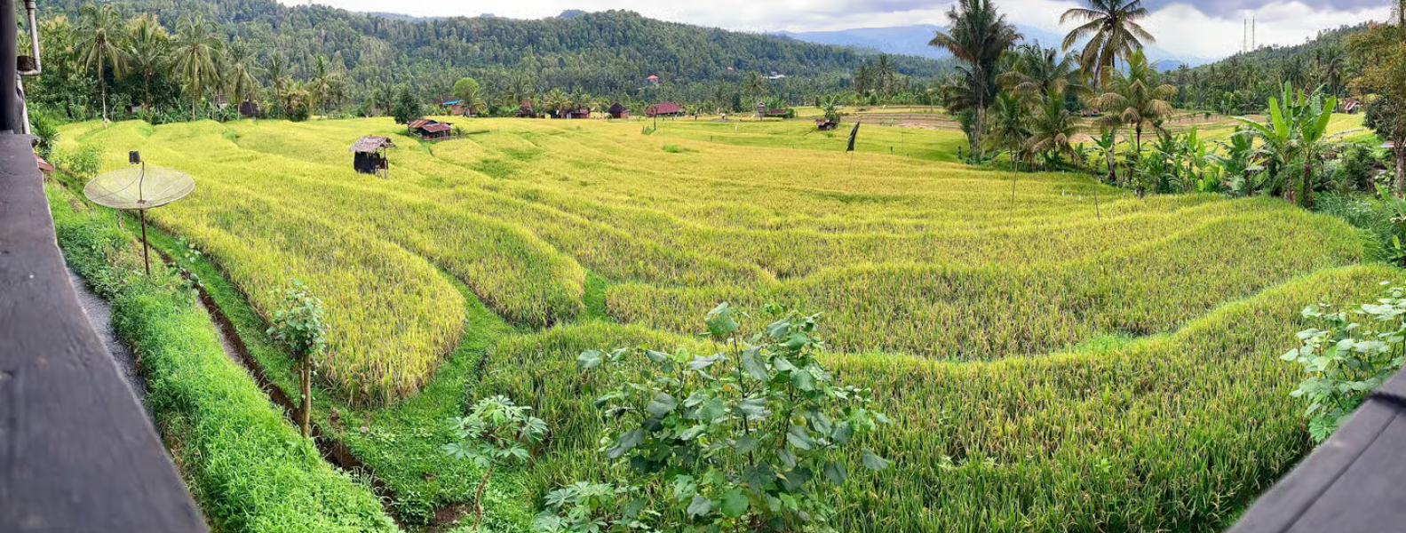 Bali: Munduk Waterfalls Trek Twin Lakes and Temple Tour | ®ExcursionMania