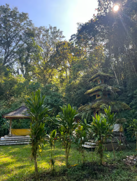 Bali: Munduk Waterfalls Trek Twin Lakes and Temple Tour | ®ExcursionMania