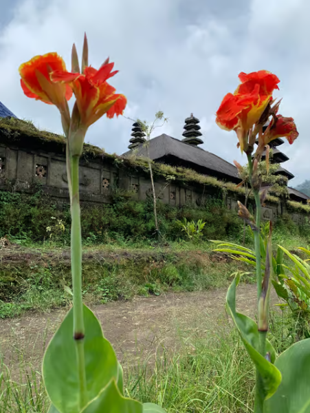 Bali: Munduk Waterfalls Trek Twin Lakes and Temple Tour | ®ExcursionMania
