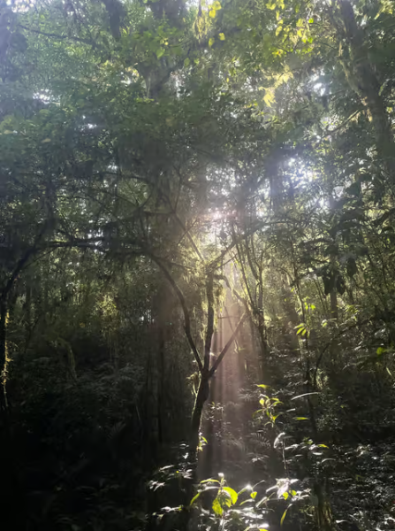 Bali: Munduk Waterfalls Trek Twin Lakes and Temple Tour | ®ExcursionMania