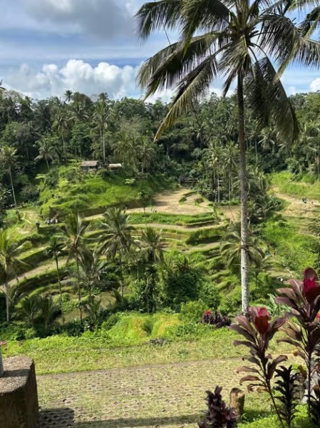 Bali: Swing with Falls Rice Terrace & Monkey Forest Option | ®ExcursionMania
