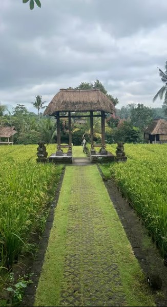 Bali: Swing with Falls Rice Terrace & Monkey Forest Option | ®ExcursionMania