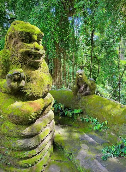 Bali: Swing with Falls Rice Terrace & Monkey Forest Option | ®ExcursionMania