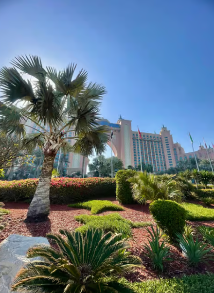 Dubai: Half-Day City Tour with Blue Mosque, Creek, and Souks | ®ExcursionMania
