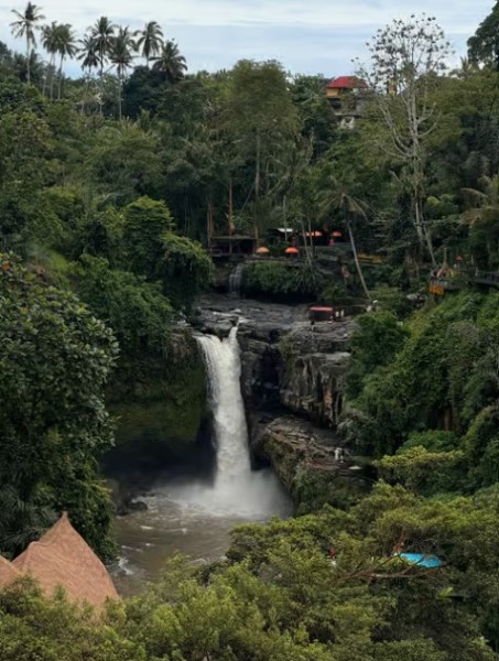 From Bali: Saraswati Temple Monkey Forest Ubud Waterfalls | ®ExcursionMania