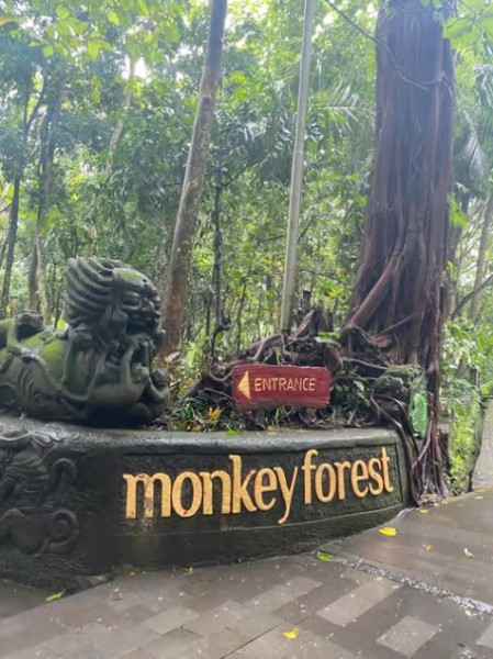 From Bali: Saraswati Temple Monkey Forest Ubud Waterfalls | ®ExcursionMania