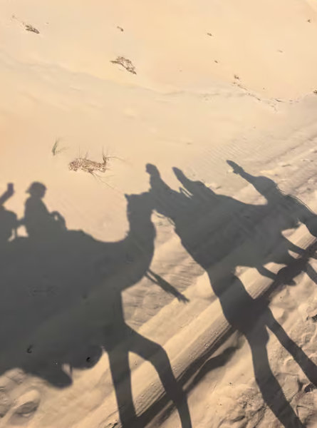 Dubai: Half-Day Camel Trekking with Al Marmoom Breakfast | ®ExcursionMania