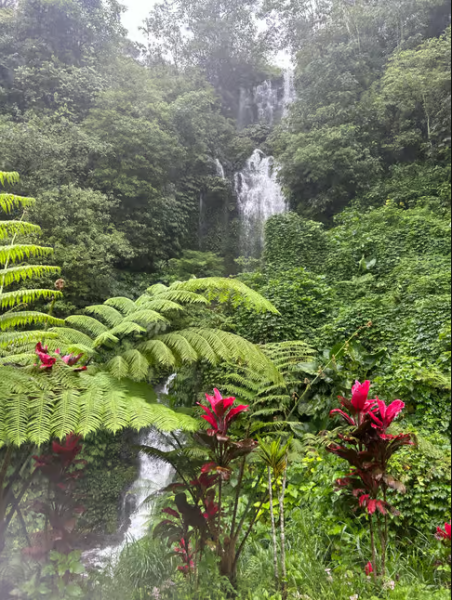 Northern Charm: Lake Bratan Handara Gate Waterfall  Swing | ®ExcursionMania